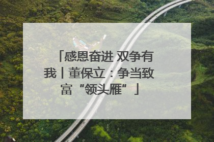 感恩奋进 双争有我丨董保立：争当致富“领头雁”