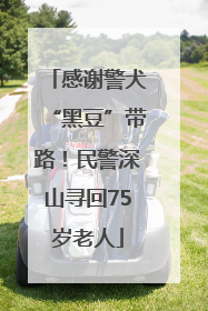 感谢警犬“黑豆”带路！民警深山寻回75岁老人