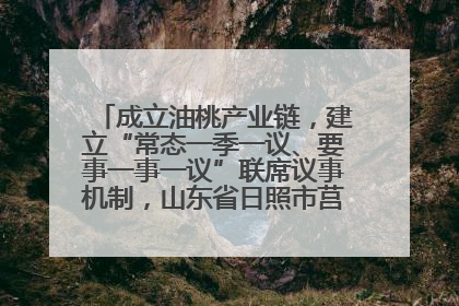 成立油桃产业链，建立“常态一季一议、要事一事一议”联席议事机制，山东省日照市莒县果庄镇——13个党小组“全周期”育果