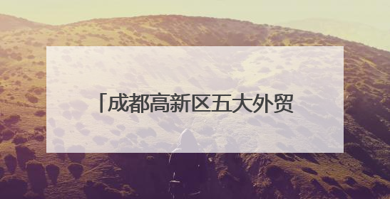 成都高新区五大外贸综合服务站授牌成立