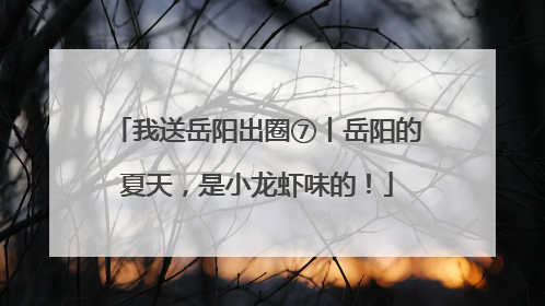 我送岳阳出圈⑦丨岳阳的夏天，是小龙虾味的！