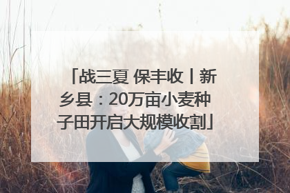 战三夏 保丰收丨新乡县：20万亩小麦种子田开启大规模收割
