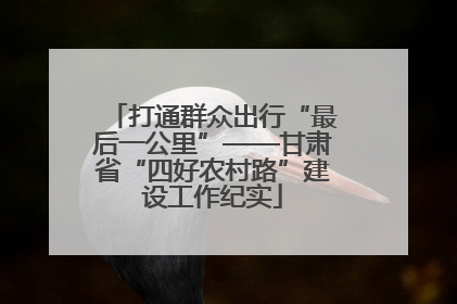 打通群众出行“最后一公里”——甘肃省“四好农村路”建设工作纪实