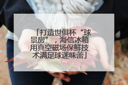 打造世俱杯“球景房”，海信冰箱用真空磁场保鲜技术满足球迷味蕾