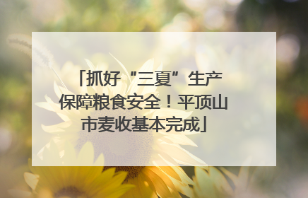 抓好“三夏”生产 保障粮食安全！平顶山市麦收基本完成