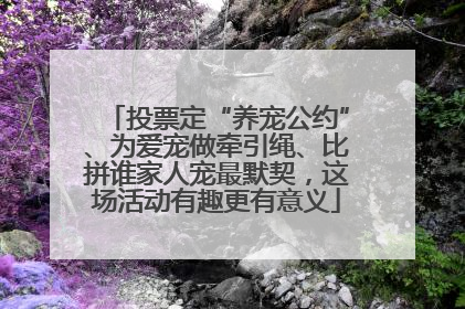 投票定“养宠公约”、为爱宠做牵引绳、比拼谁家人宠最默契，这场活动有趣更有意义