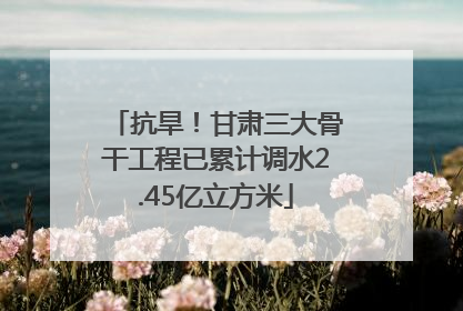 抗旱！甘肃三大骨干工程已累计调水2.45亿立方米