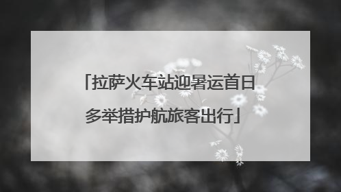 拉萨火车站迎暑运首日 多举措护航旅客出行