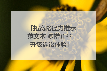 拓宽路径力推示范文本 多措并举升级诉讼体验