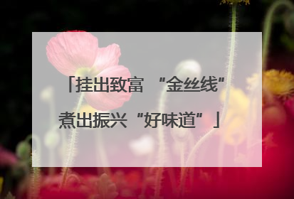 挂出致富 “金丝线” 煮出振兴“好味道”