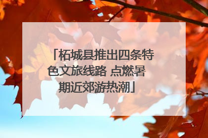 柘城县推出四条特色文旅线路 点燃暑期近郊游热潮