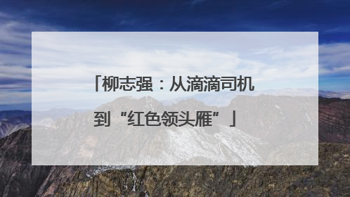 柳志强：从滴滴司机到“红色领头雁”