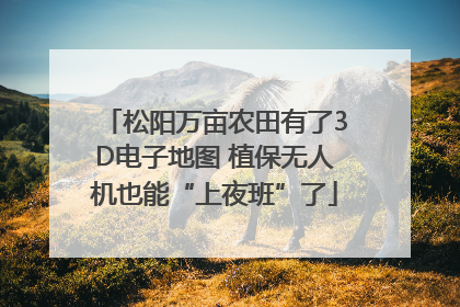 松阳万亩农田有了3D电子地图 植保无人机也能“上夜班”了