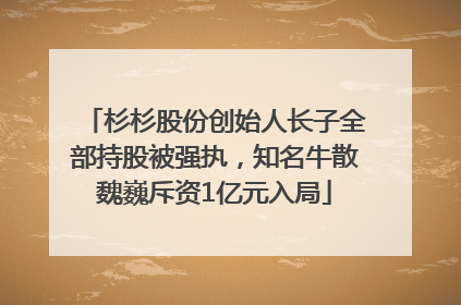 杉杉股份创始人长子全部持股被强执，知名牛散魏巍斥资1亿元入局