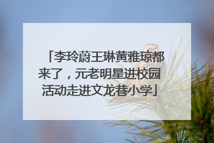 李玲蔚王琳黄雅琼都来了，元老明星进校园活动走进文龙巷小学