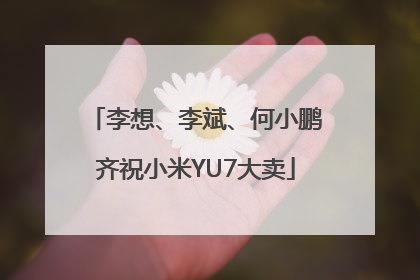 李想、李斌、何小鹏齐祝小米YU7大卖