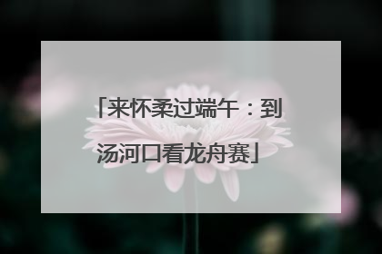 来怀柔过端午：到汤河口看龙舟赛