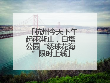 杭州今天下午起雨渐止，白塔公园“绣球花海”限时上线