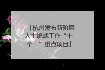 杭州发布新阶层人士统战工作“十个一”重点项目