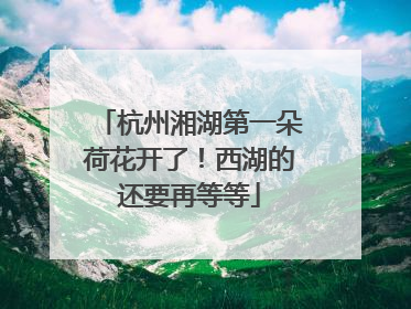 杭州湘湖第一朵荷花开了！西湖的还要再等等