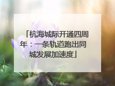 杭海城际开通四周年：一条轨道跑出同城发展加速度
