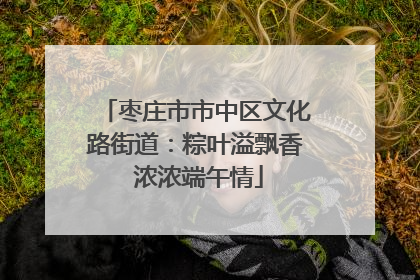 枣庄市市中区文化路街道：粽叶溢飘香 浓浓端午情