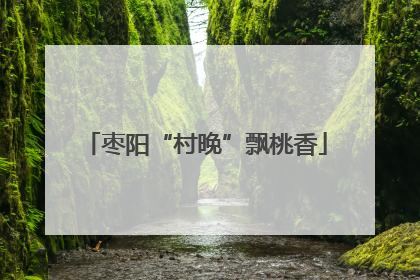 枣阳“村晚”飘桃香