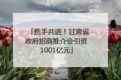 携手共进！甘肃省政府招商推介会引资1001亿元