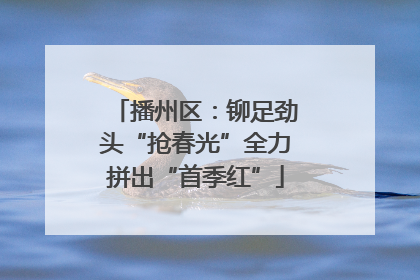 播州区：铆足劲头“抢春光”全力拼出“首季红”