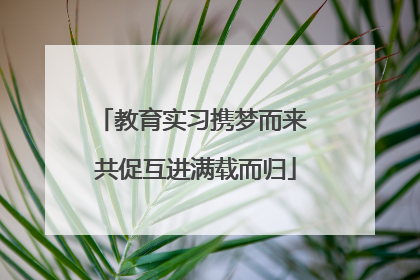 教育实习携梦而来 共促互进满载而归