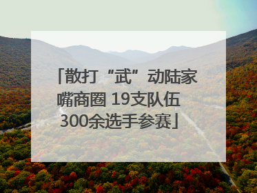 散打“武”动陆家嘴商圈 19支队伍300余选手参赛