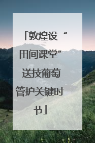 敦煌设“田间课堂” 送技葡萄管护关键时节