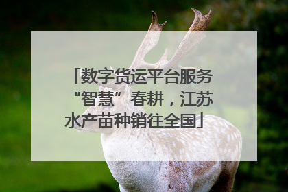 数字货运平台服务“智慧”春耕，江苏水产苗种销往全国