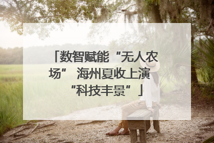 数智赋能“无人农场” 海州夏收上演“科技丰景”