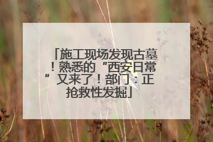 施工现场发现古墓！熟悉的“西安日常”又来了！部门：正抢救性发掘