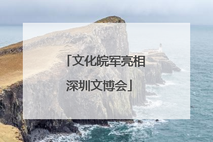 文化皖军亮相深圳文博会