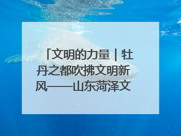 文明的力量｜牡丹之都吹拂文明新风——山东菏泽文明创建一线见闻