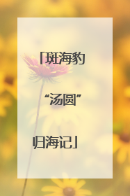 斑海豹“汤圆”归海记