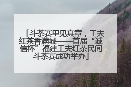 斗茶赛里见真章，工夫红茶香满城——首届“诚信杯”福建工夫红茶民间斗茶赛成功举办