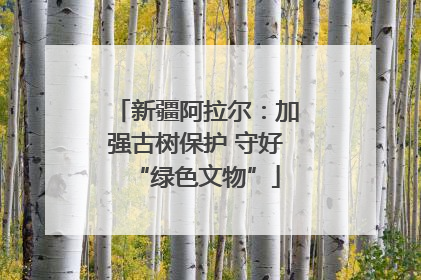 新疆阿拉尔：加强古树保护 守好“绿色文物”