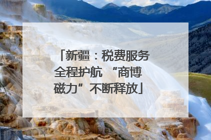 新疆：税费服务全程护航 “商博磁力”不断释放