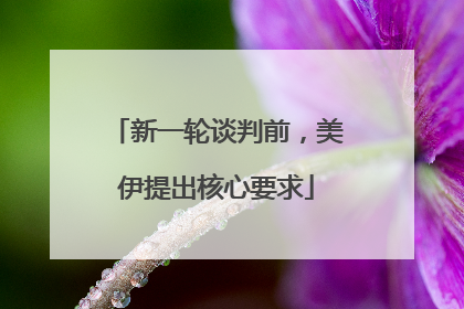 新一轮谈判前，美伊提出核心要求