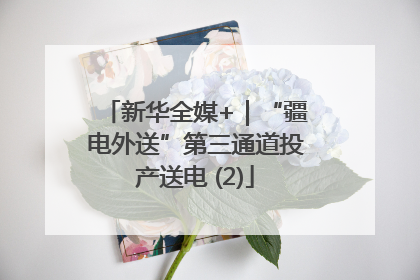 新华全媒+｜“疆电外送”第三通道投产送电 (2)