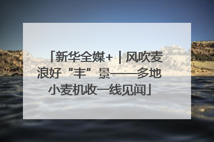新华全媒+｜风吹麦浪好“丰”景——多地小麦机收一线见闻