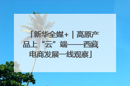 新华全媒+｜高原产品上“云”端——西藏电商发展一线观察