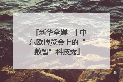 新华全媒+丨中东欧博览会上的“数智”科技秀