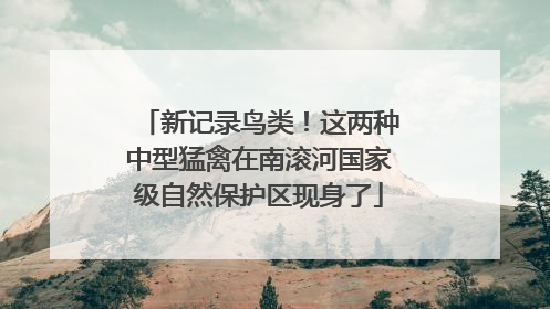 新记录鸟类！这两种中型猛禽在南滚河国家级自然保护区现身了