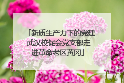 新质生产力下的党建 武汉校促会党支部走进革命老区黄冈