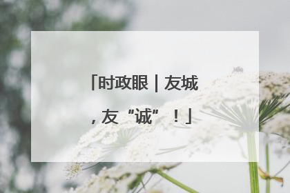 时政眼｜友城，友“诚”！
