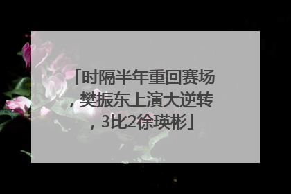 时隔半年重回赛场，樊振东上演大逆转，3比2徐瑛彬